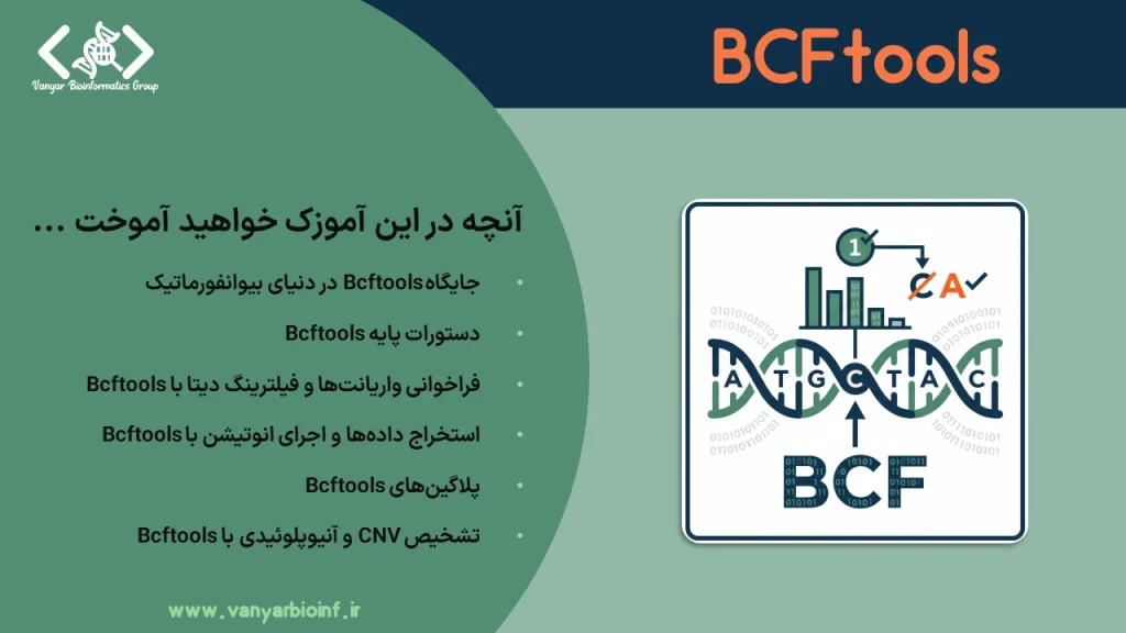 محتوای آموزک BCFtools