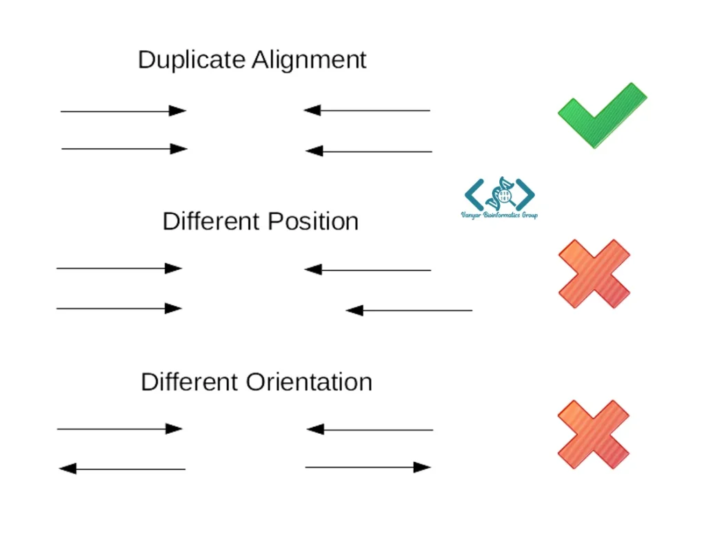 duplicate alignment samtools
