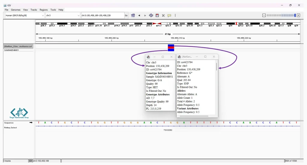 vcf file visualization
