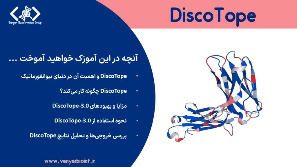 آموزش ابزار DiscoTope-3.0 برای پیش‌بینی اپی‌توپ سلول B