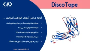 آموزش ابزار DiscoTope-3.0 برای پیش‌بینی اپی‌توپ سلول B