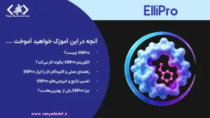 آموزش ابزار ElliPro برای پیش‌بینی اپی‌توپ‌های سلول B