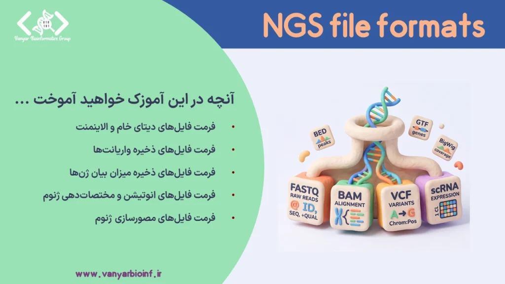 فرمت فایل‌های NGS شامل فایل‌های دیتای خام، الاینمنت، واریانت، بیان ژن، انوتیشن و مصورسازی ژنوم