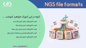 فرمت فایل‌های NGS شامل فایل‌های دیتای خام، الاینمنت، واریانت، بیان ژن، انوتیشن و مصورسازی ژنوم