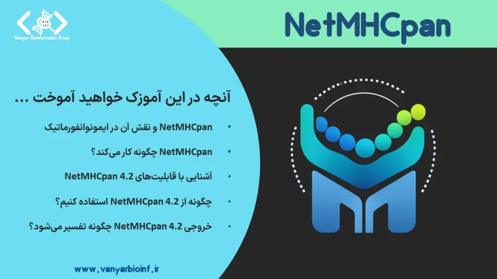 تصویر شاخص NetMHCpan برای پیش‌بینی ارائه پپتید توسط MHC کلاس I در ایمونوانفورماتیک