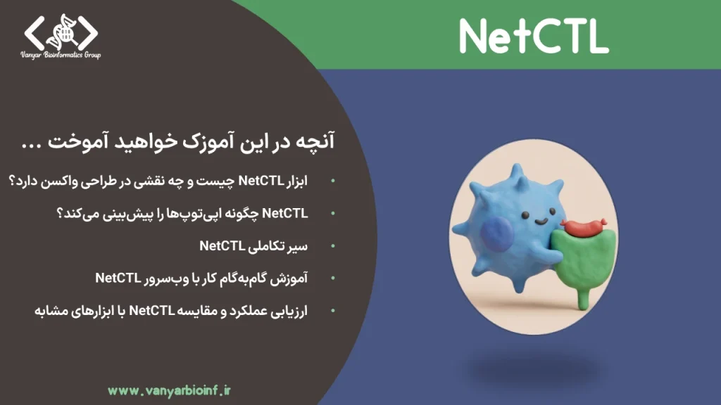 ابزار NetCTL چیست و چه نقشی در طراحی واکسن دارد؟
