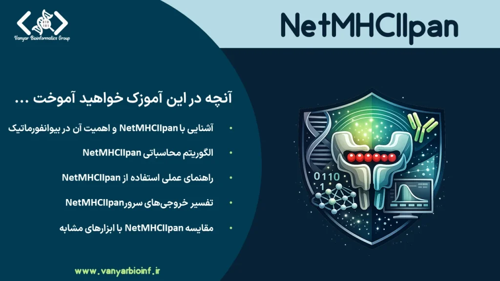 آموزش ابزار ایمونوانفورماتیکی NetMHCIIpan برای بررسی احتمال اتصال پپتیدها به مولکول‌های MHC کلاس II و ارائه طبیعی آن‌ها