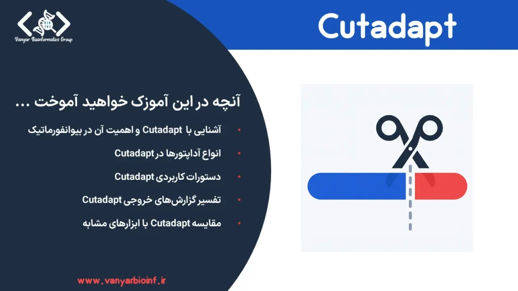 آموزش جامع ابزار cutadapt