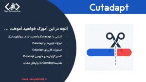 آموزش جامع ابزار cutadapt